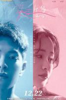 《爱恋告急》电视剧免费在线观看_国产剧高清完整版全集