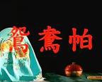 《金鸳鸯》电影免费在线播放高清国语中字