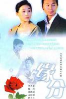 《缘分的天空》免费观看高清完整版_电视剧全集