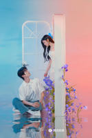 狙击蝴蝶电视剧免费看