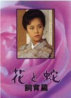 《花与蛇 饲育篇》_免费高清电影_高清完整视频在线