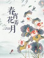 台湾电影《春宵花弄月》高清免费在线观看